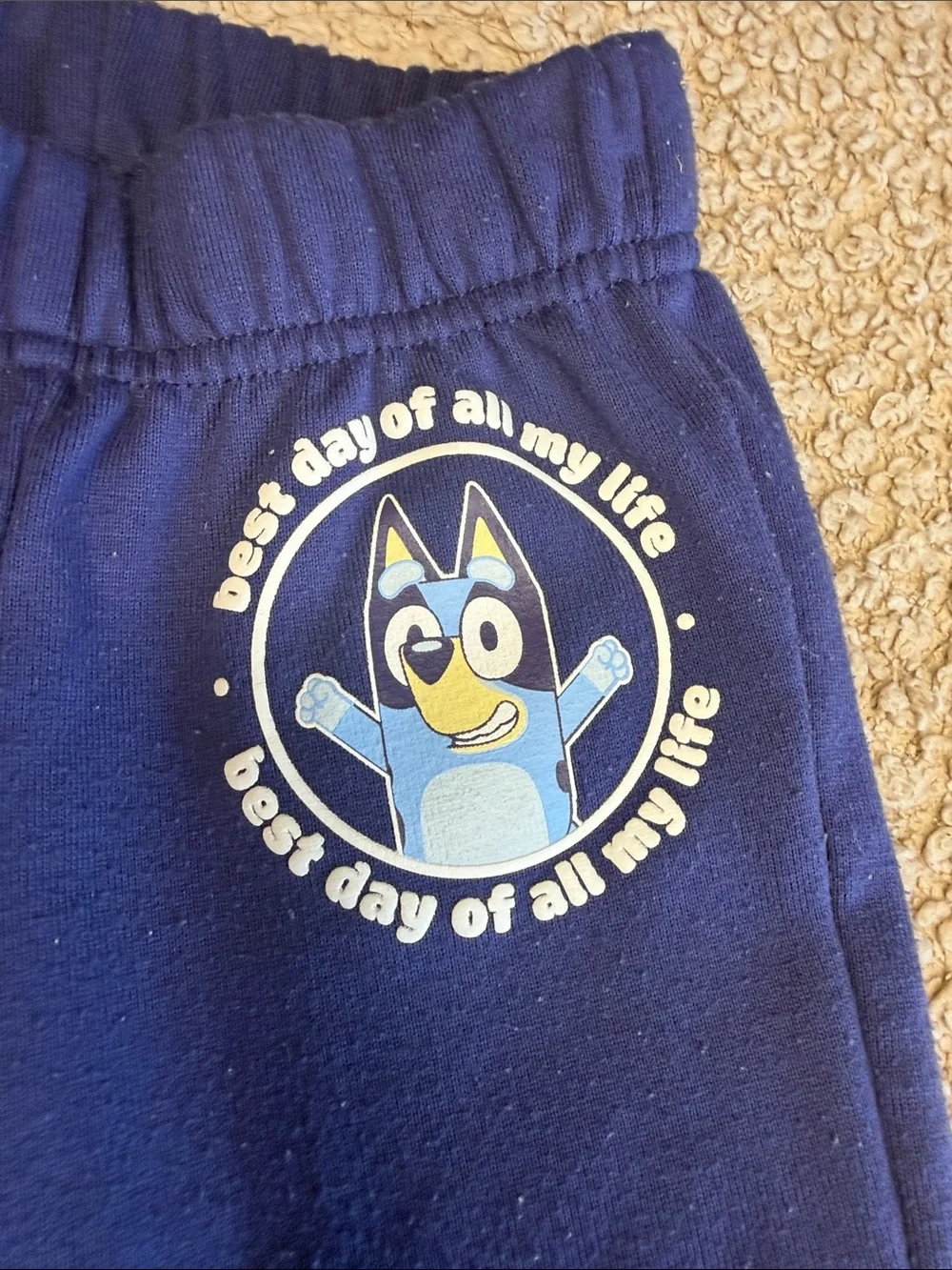 Bluey official themed